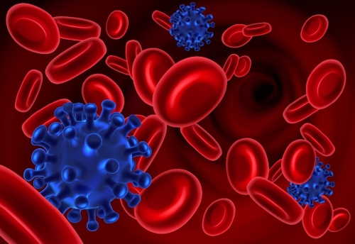 AML'nin Anlaşılması, Teşhisi ve Tedavisine İlişkin İçgörü Sağlayan Lösemik kök Hücrelerin Keşfi ve Karakterizasyonu